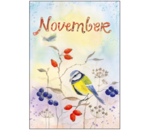 Postkarte - Monatskarte November Meise